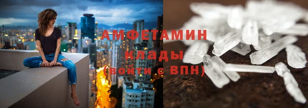 a pvp Пересвет