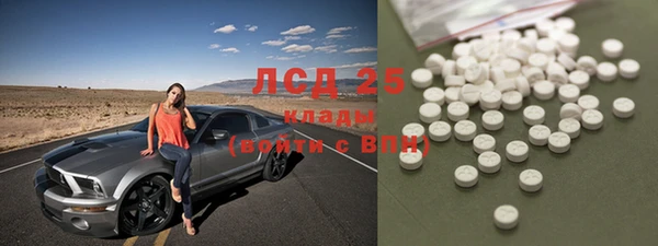 a pvp Пересвет