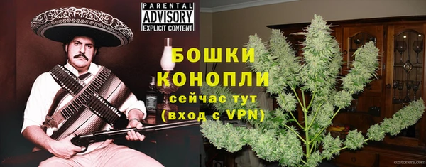молекула духа Переславль-Залесский