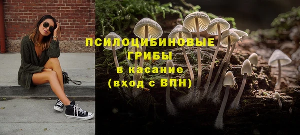 молекула духа Переславль-Залесский
